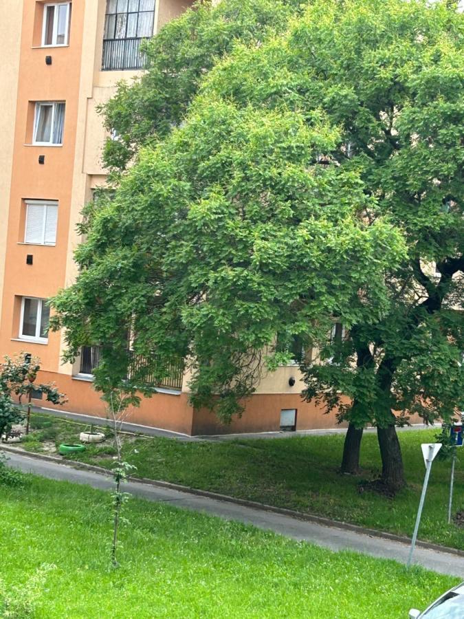Appartement Sophie'S Urban Nest à Miskolc Extérieur photo